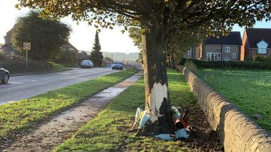 The scene in Rotherham where three teenagers died in a car crash after a vehicle came off the road and struck a tree. Picture date: Monday October 25, 2021.  